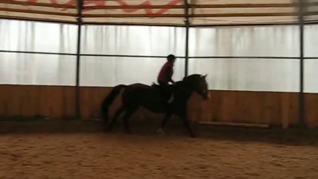 Лера. Прыжки по вольту смотреть онлайн