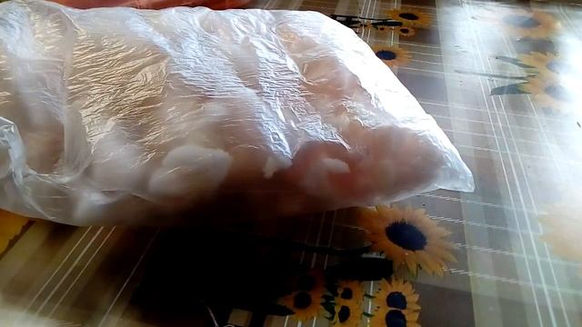 DIY как сделать сквиши? смотреть онлайн