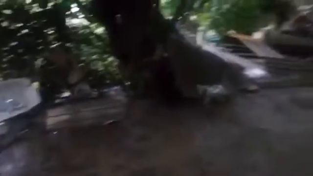 у моей бабули затопило дом😢 смотреть онлайн