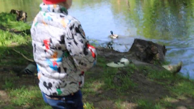 Дубовая роща смотреть онлайн