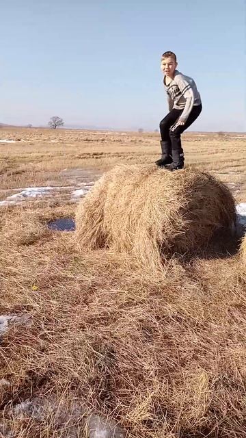 я не гусь 得 смотреть онлайн