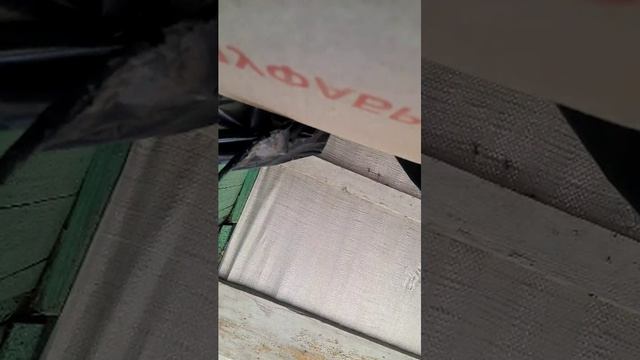 ЕДУ НА КЛАДБИЩЕ смотреть онлайн