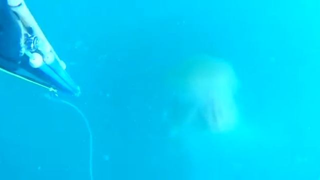 14 марта 2019 г.(1)