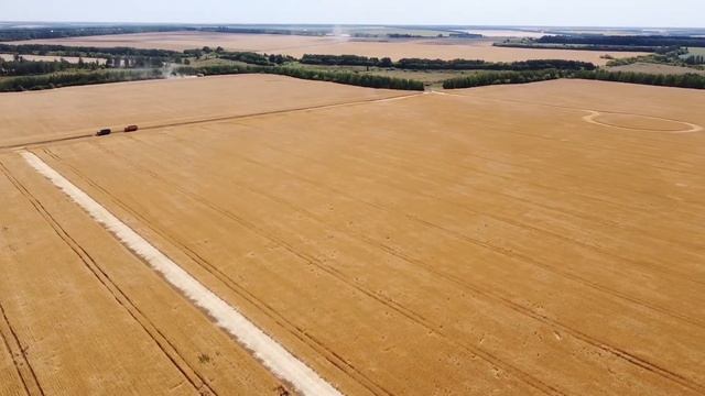 Уборка 2020 смотреть онлайн