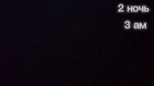 пять ночей со снюсоедами 2 ночь