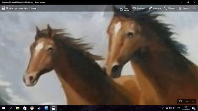 Кони жив пис тру)) смотреть онлайн