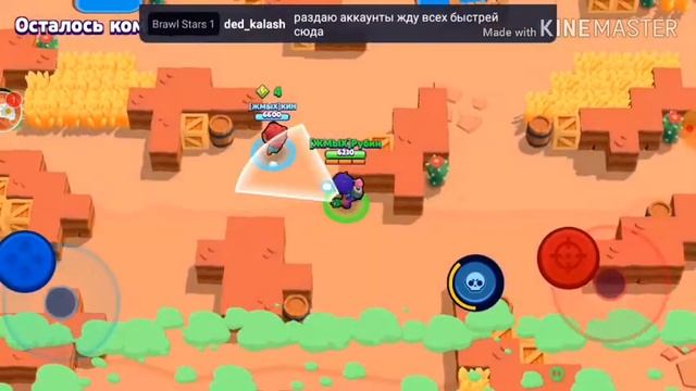 Кочаем кубки Я рубин и KIN