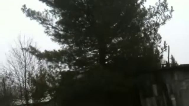 Шум ветра. смотреть онлайн