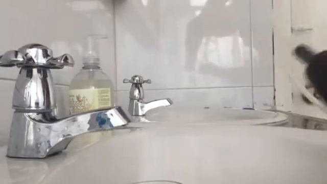 SOLVED: Katadyn Combi Water Filter Leaking And Dripping