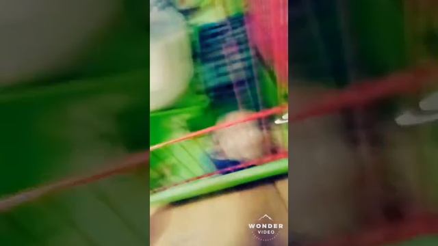 Уборка и вызов! смотреть онлайн