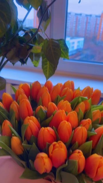 🔴 ЖИЗНЬ…ЕЩЕ🔴 смотреть онлайн