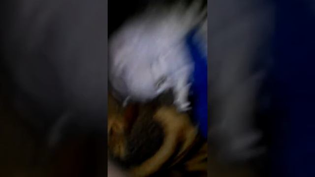 Маркиз стал керкоровом убиваем время смотреть онлайн