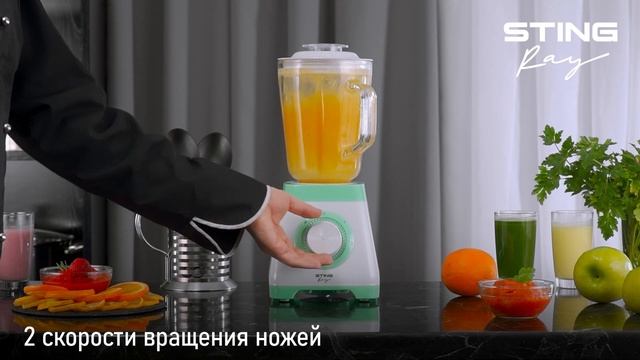 Стационарный блендер STINGRAY ST-KP2208A