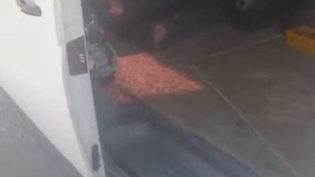 Видео0000 смотреть онлайн