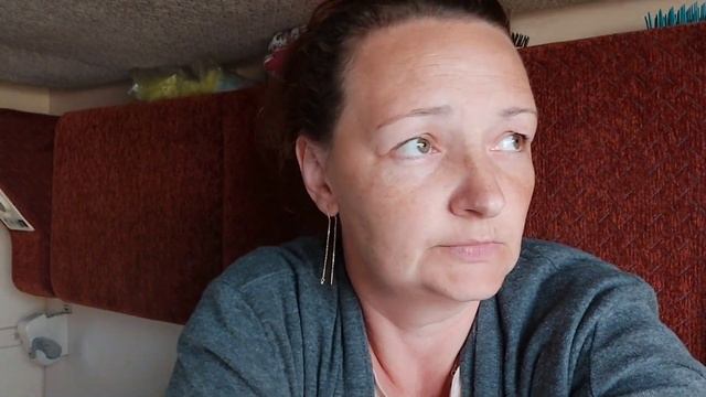 VLOG:НАШИ ПЛАНЫ//ВИДИМО ОТРАВИЛАСЬ//ЧАРЛИ ВСТРЕЧАЕТ НА ВОКЗАЛЕ