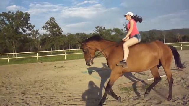 Поэтесса (галоп) смотреть онлайн