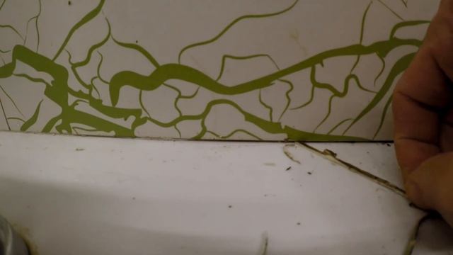 Как удалить плесень на силиконовом шве, тест системы антиплесень. смотреть онлайн
