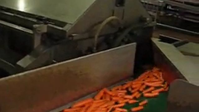 Линия по мойке и калибровке моркови смотреть онлайн