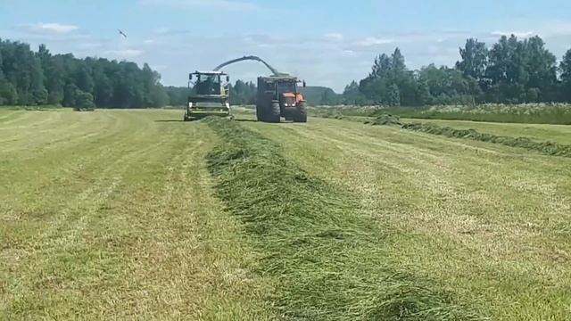 Заготовка сочных кормов смотреть онлайн