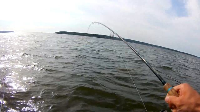 РЫБАЛКА 20-ТИ МИНУТ!!! СУДАК НА ДНЕПРЕ!!!