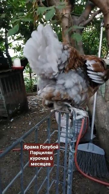 21 июля 2022 г. смотреть онлайн