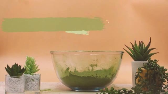 Pipo Skin Spotlight: Benefits of Moringa in Skincare смотреть онлайн