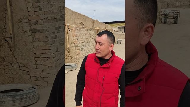 🇺🇿🇰🇬МИНИ ГИШТ ЗАВОДИ УЗБЕКИСТОН. 15 СОТЫХ ЕР👍МИНИ КЫШ ЗАВОДУ. МИНИ КИРПИЧНЫЙ ЦЕХ. МОТИВАЦИОН ВИДЕО смотреть онлайн