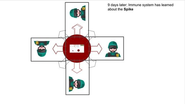 TRIAL VERSION: Corona mRNA vaccines explained смотреть онлайн