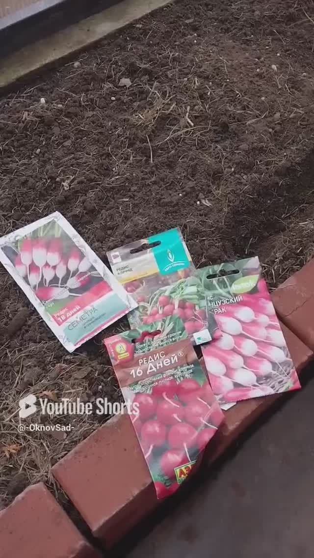 Секрет При Посеве Редиса. #домашнийвлог #сад #редиска #огород