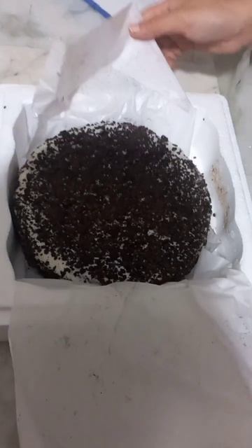 Cream Bell Blackforest Ice Cream Cake Unboxing | Plz Subscribe | 😋 👌 ✨ 😍