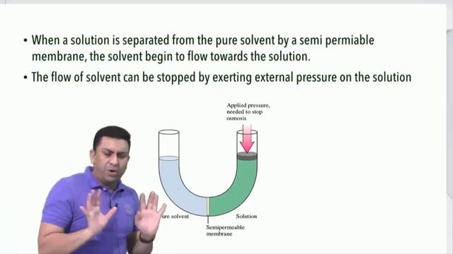 Transport in Plants l Lecture 3 l Biology l NEET смотреть онлайн