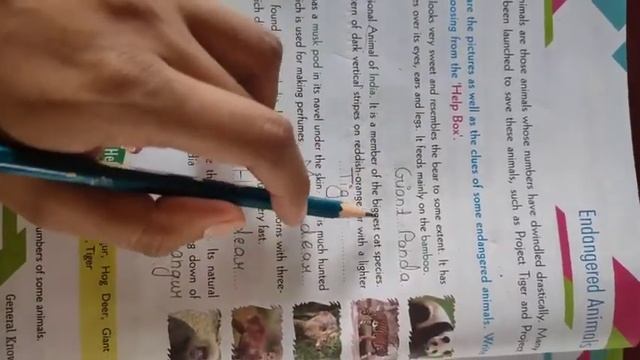 Class 4 G.k ch2 video2 смотреть онлайн