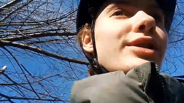 VLOG с конюшний|я на корде! (( смотреть онлайн