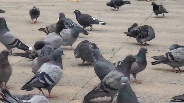 14 ноября 2022 г. смотреть онлайн