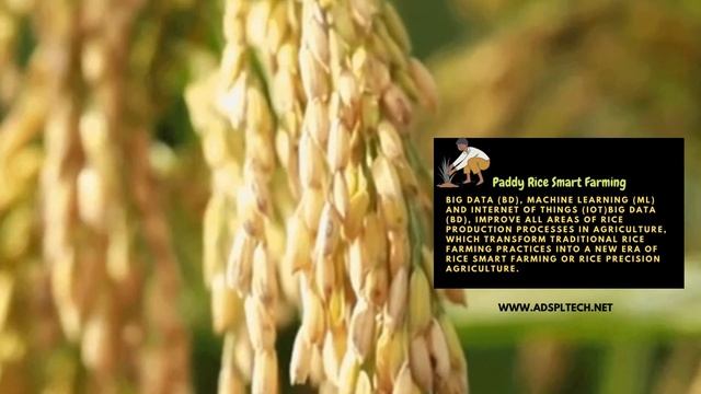 IOT Technology for "Smart Farming" смотреть онлайн