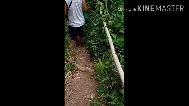 Kimatahay falls/Brgy. Lilingayon Valencia City смотреть онлайн