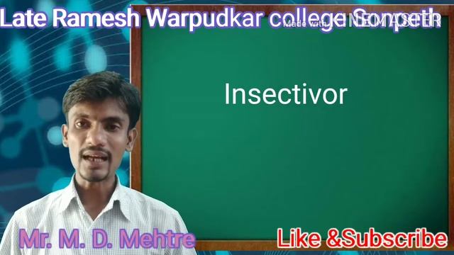 Kingdom Plantae part 1 смотреть онлайн