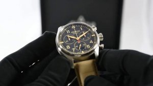 Alpina Startimer Pilot Big Date AL-372BGR4S6