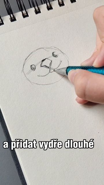 izi tutoriál na vydru#arttips #kresleni #vydra смотреть онлайн