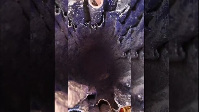 26 мая 2020 г. смотреть онлайн