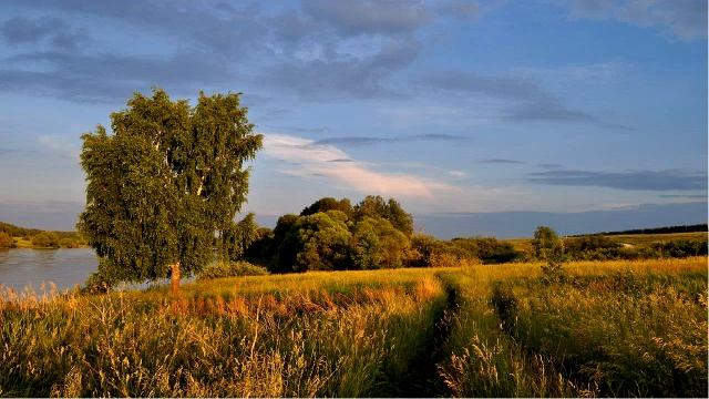 Родина Отсупление в рассказах Старые и малые Борис Алмазов Аудиокнига для детей Слушать онлайн смотреть онлайн