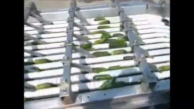 Щеточная мойка и калибровка огурцов смотреть онлайн