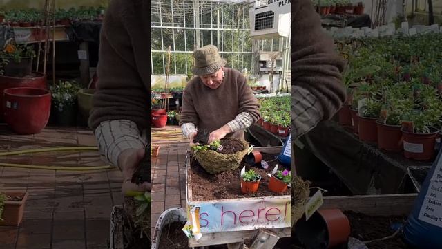 Hanging Baskets for months of colour @pergolanurseries_garden_corner смотреть онлайн