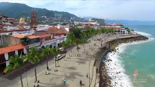 Hotel Flamingo Hotel & Marina смотреть онлайн