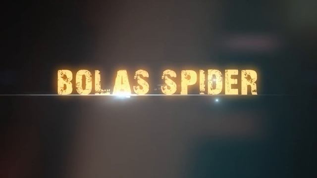 VAHŞİ SERÜVEN 6. BÖLÜM | 4K HAYVAN BELGESELİ