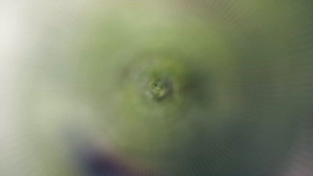 Overnight in Malaysia Rainforest: Sekeping Serendah Retreat Glamping [Small Girl Big World] смотреть онлайн