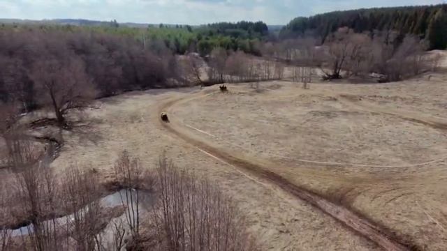 1000070449.mp4 смотреть онлайн