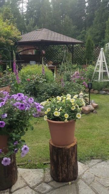 Затишье перед грозой #гроза #сад #garden #flowers смотреть онлайн