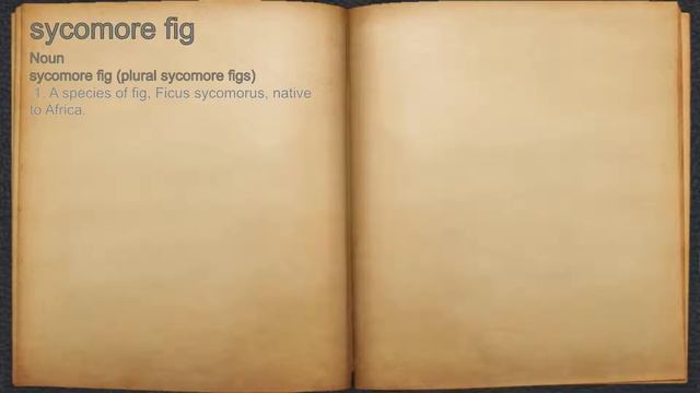 What does sycomore fig mean?