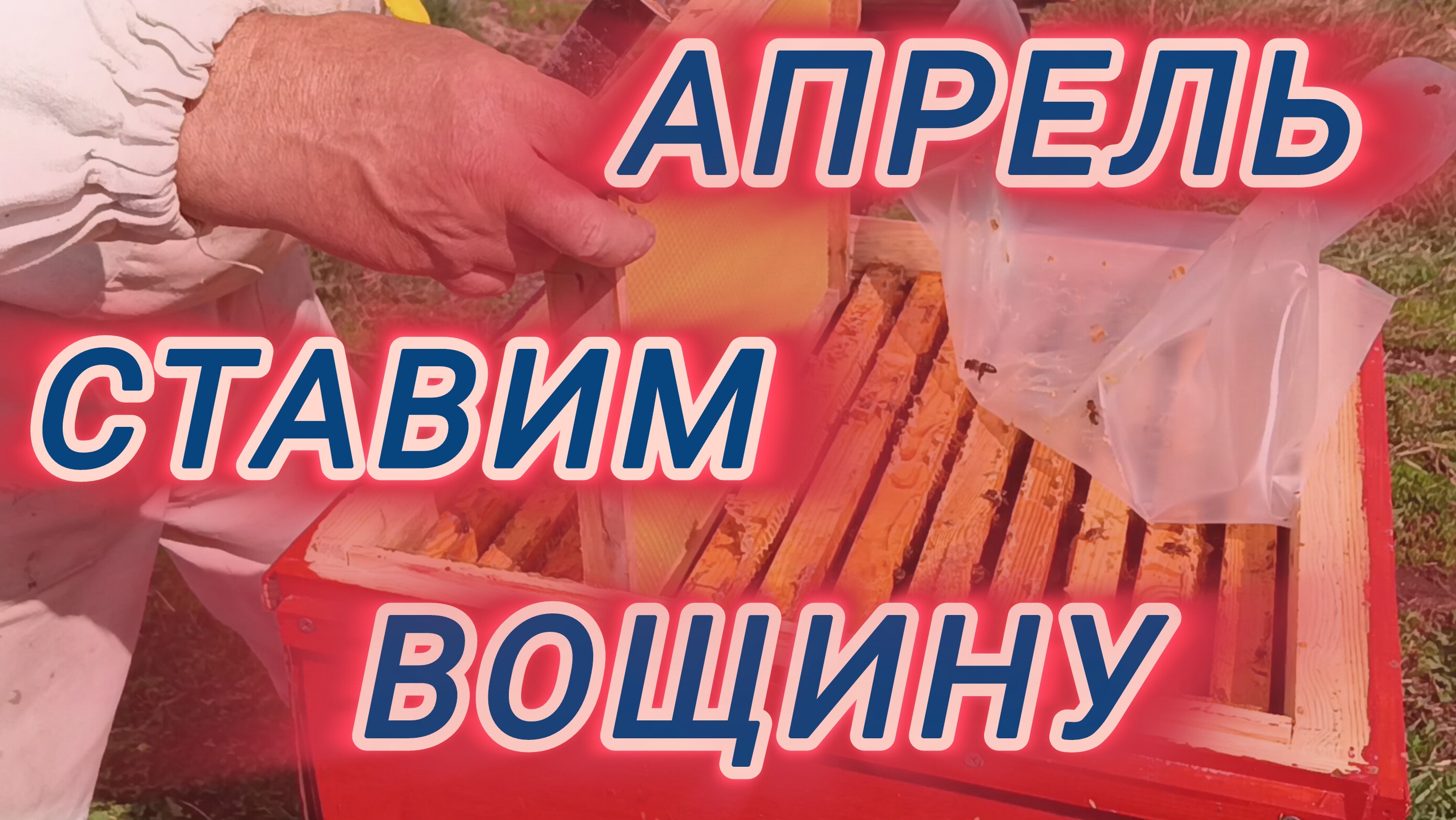 Апрель.Ставим вощину. смотреть онлайн